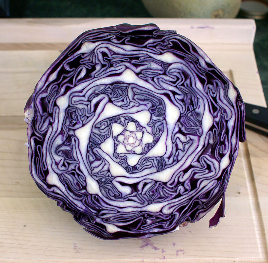 Natural-fractal-cabbage.png