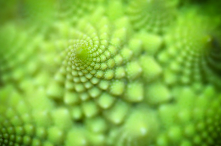 File:Self-similar-spiral-fractal-pattern-romanesco.jpg