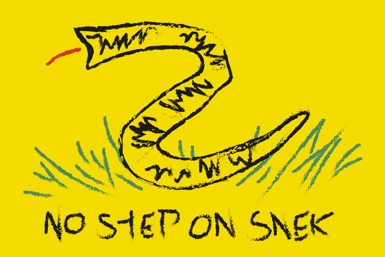 No Step On Snek Gadsden Flag.png