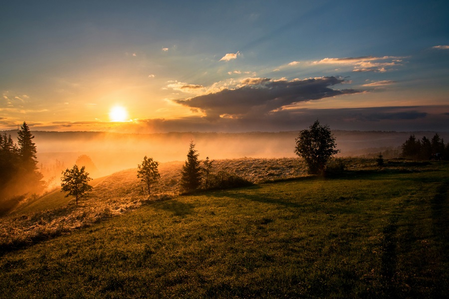 Nature-trees-mountains-clouds-forest-sun-environment-preservation.jpg